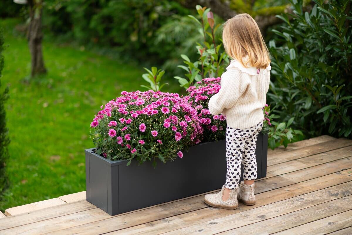 Westmann Pflanzkasten Talus anthrazit Metall B/H/L: ca. 100x27x25 cm