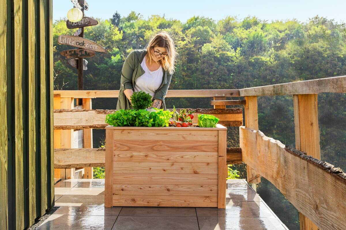 Westmann Hochbeet Lärche 100 natur Lärche B/H/L: ca. 65x66x100 cm