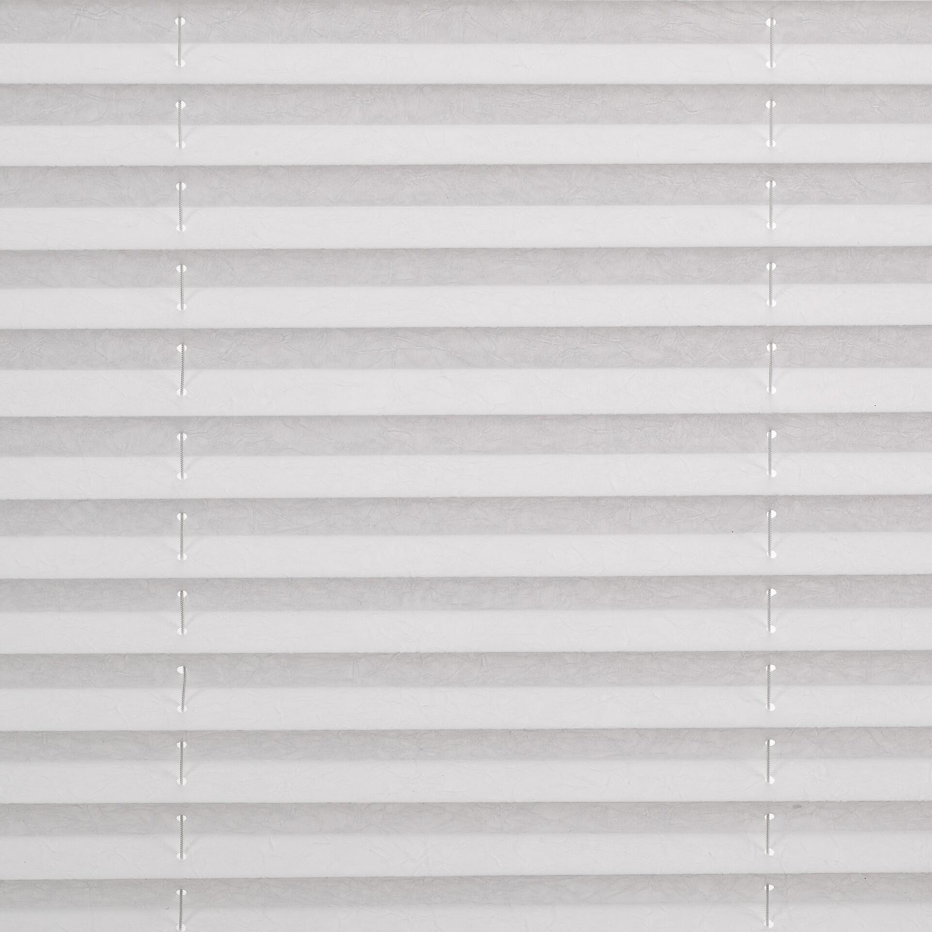 LICHTBLICK Spannplissee weiß B/L: ca. 70x130 cm