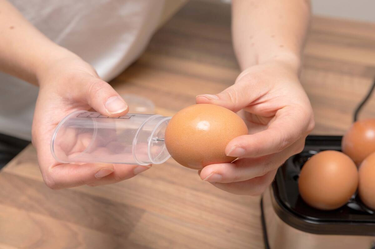 alpina Eierkocher silber