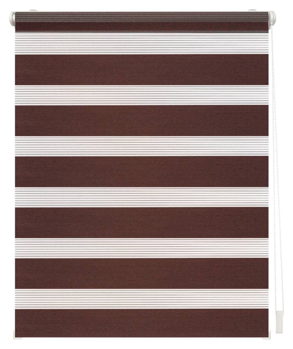LICHTBLICK Doppelrollo Duo dunkelbraun B/L: ca. 60x150 cm