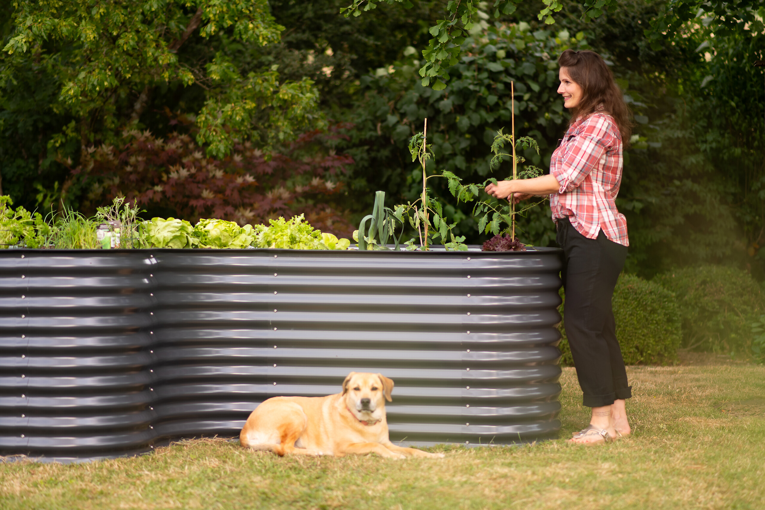 Westmann Hochbeet Grow Faster anthrazit Stahl B/H/L: ca. 160x82x240 cm