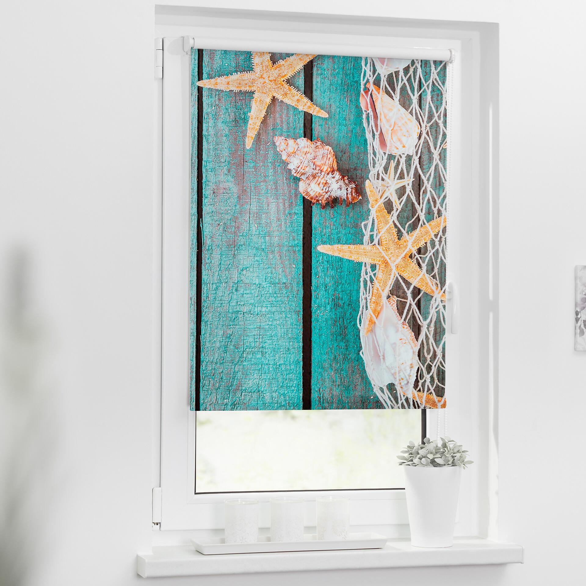 LICHTBLICK Rollo Bretter Beach petrol B/L: ca. 120x150 cm