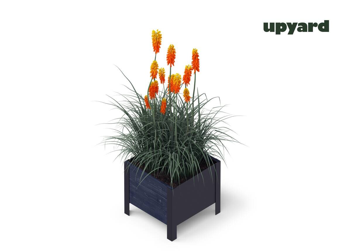 UPYARD Hochbeet MODERN schwarz Holz B/H/L: ca. 36x32x36 cm