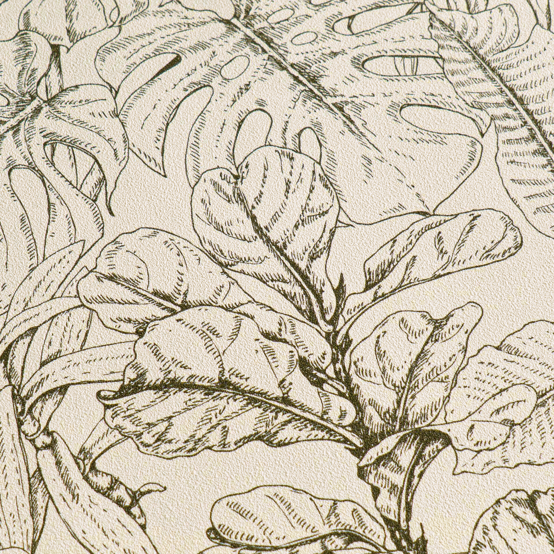 A.S.Creation Bordüre weiß schwarz B/H/D: ca. 17x500x6,8 cm