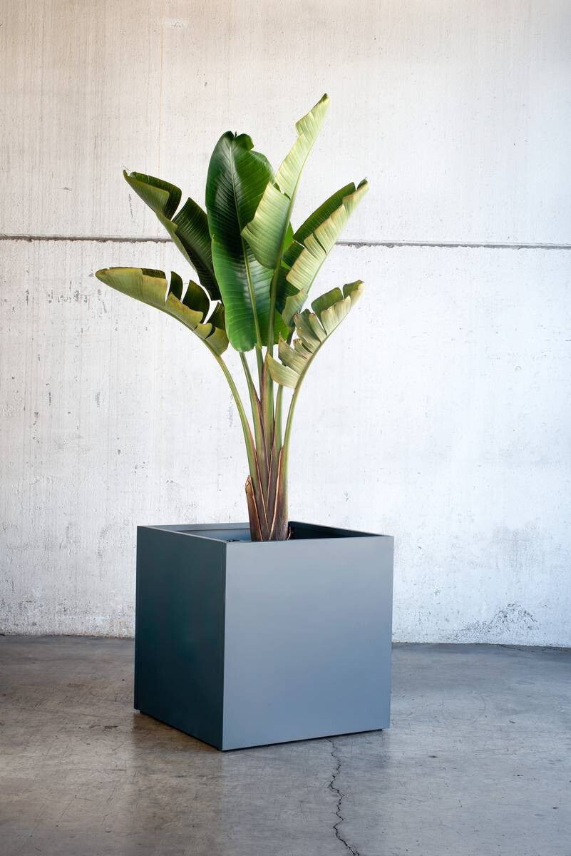 Herstera Garden Pflanzkasten anthrazit Stahl B/H/L: ca. 50x50x50 cm