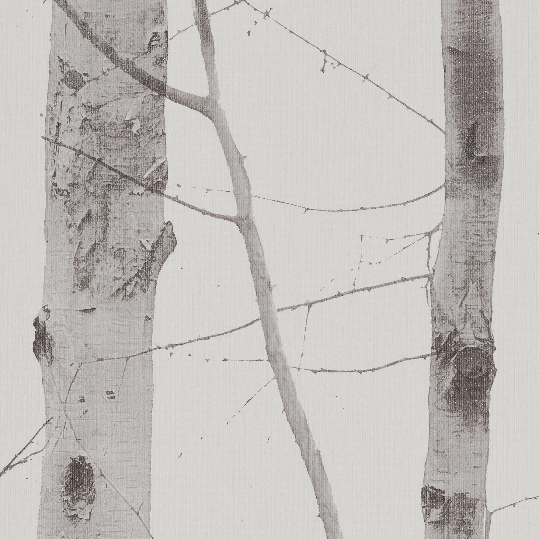 Vliestapete Birkenwald grau creme B/L: ca. 53x1005 cm