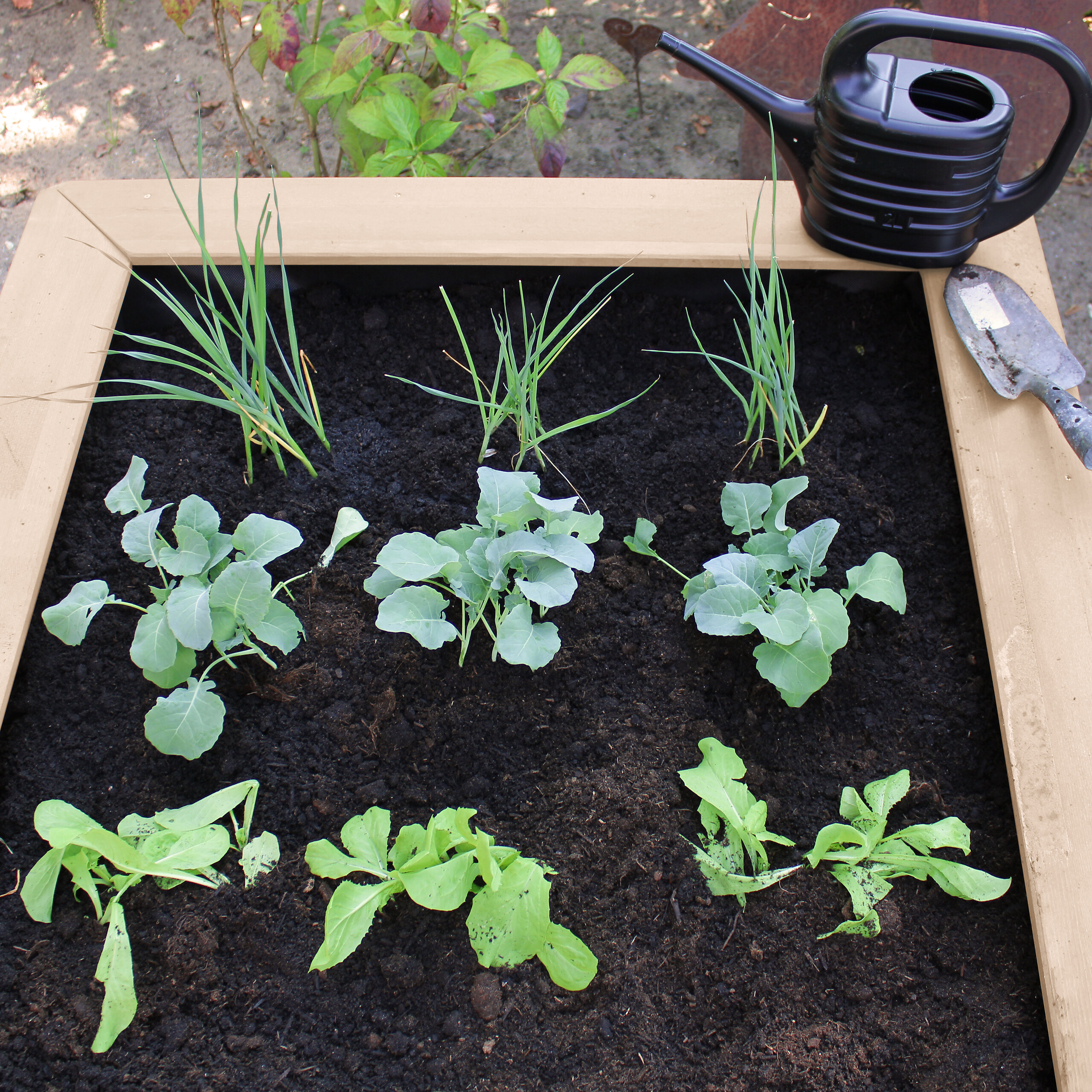 AXI Hochbeet Linda B/H/L: ca. 94x50x125 cm