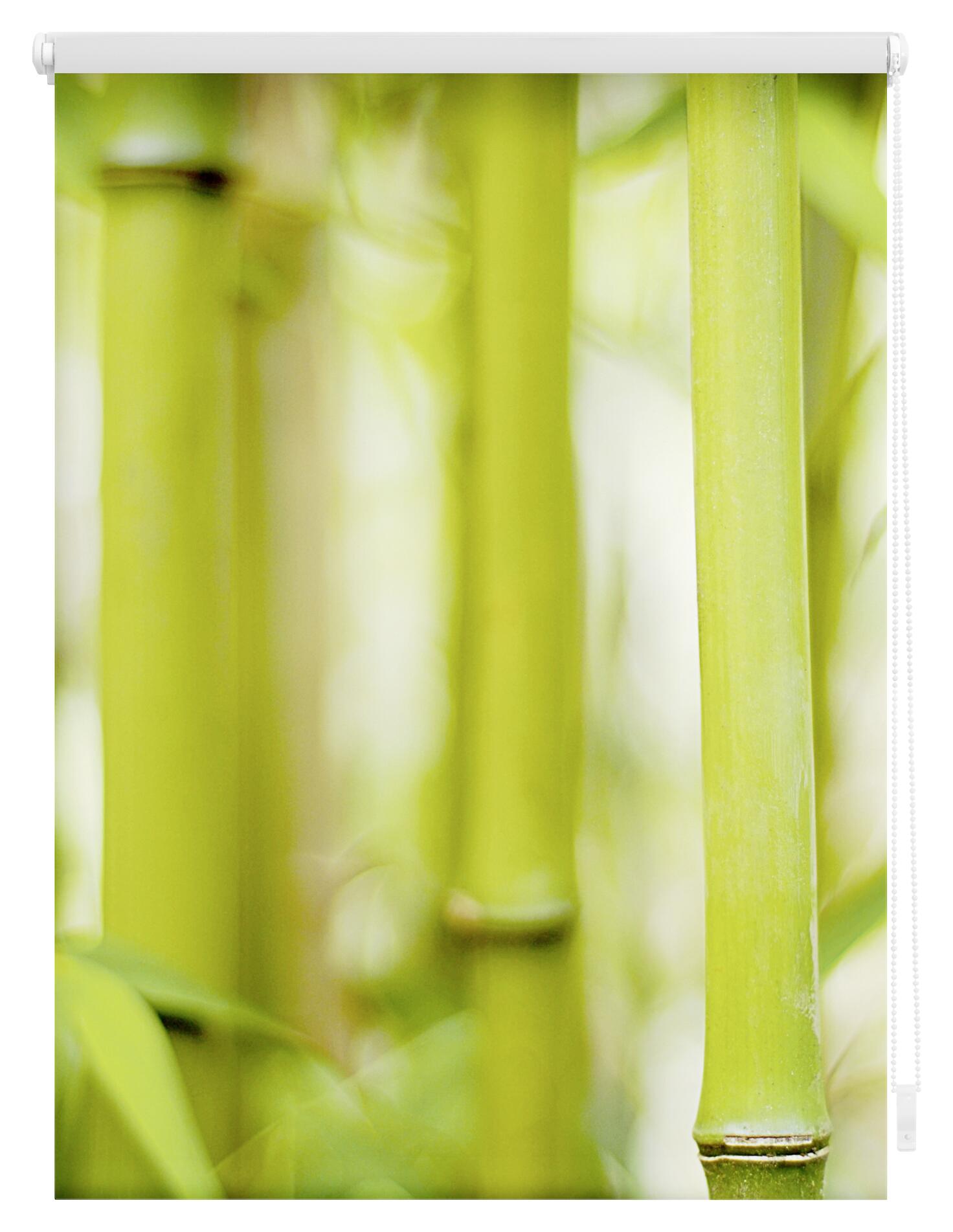 LICHTBLICK Verdunkelungsrollo Bambus grün B/L: ca. 70x150 cm