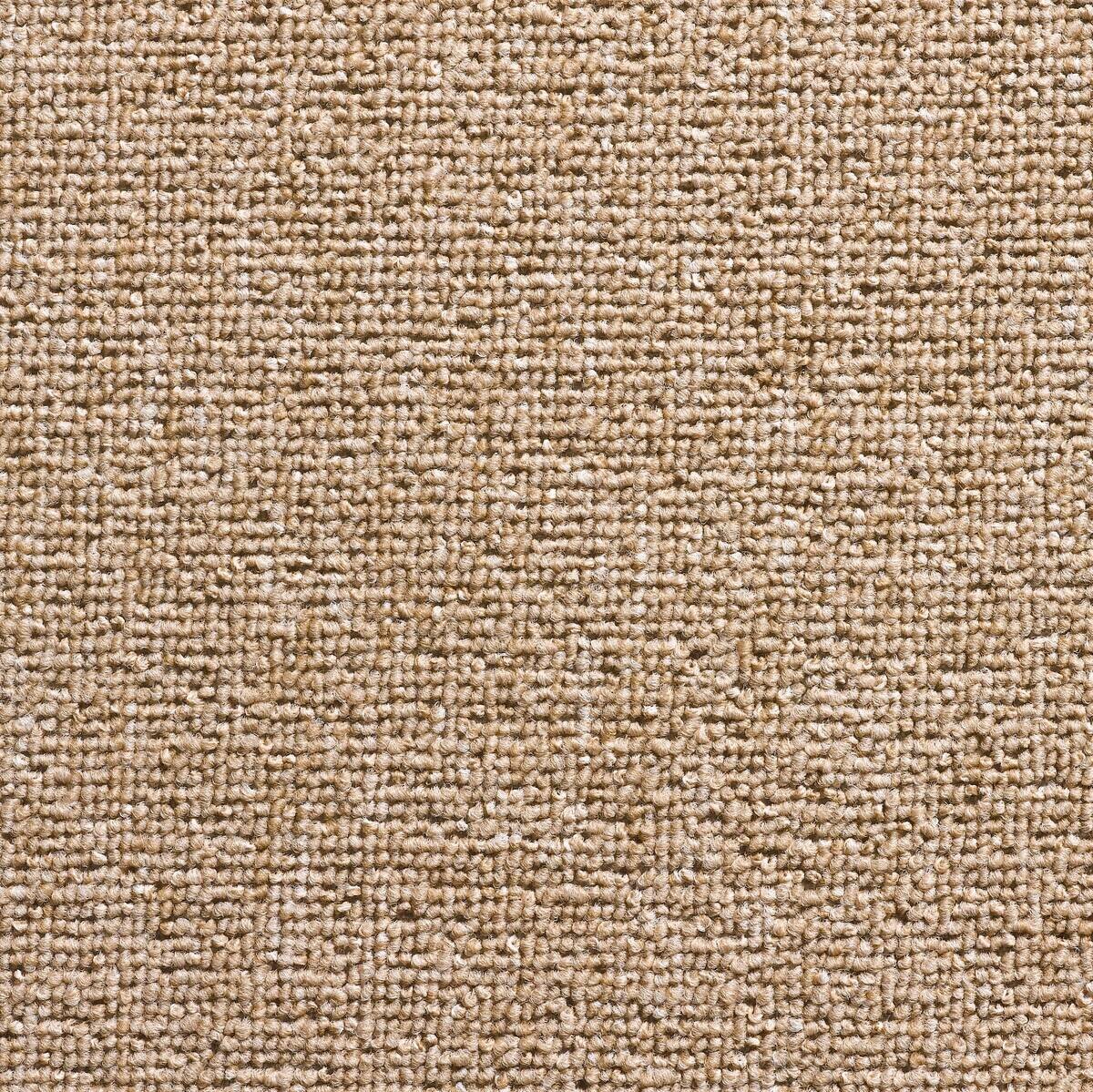 Teppichboden Torpedo dunkelbeige B: ca. 500 cm pro m²
