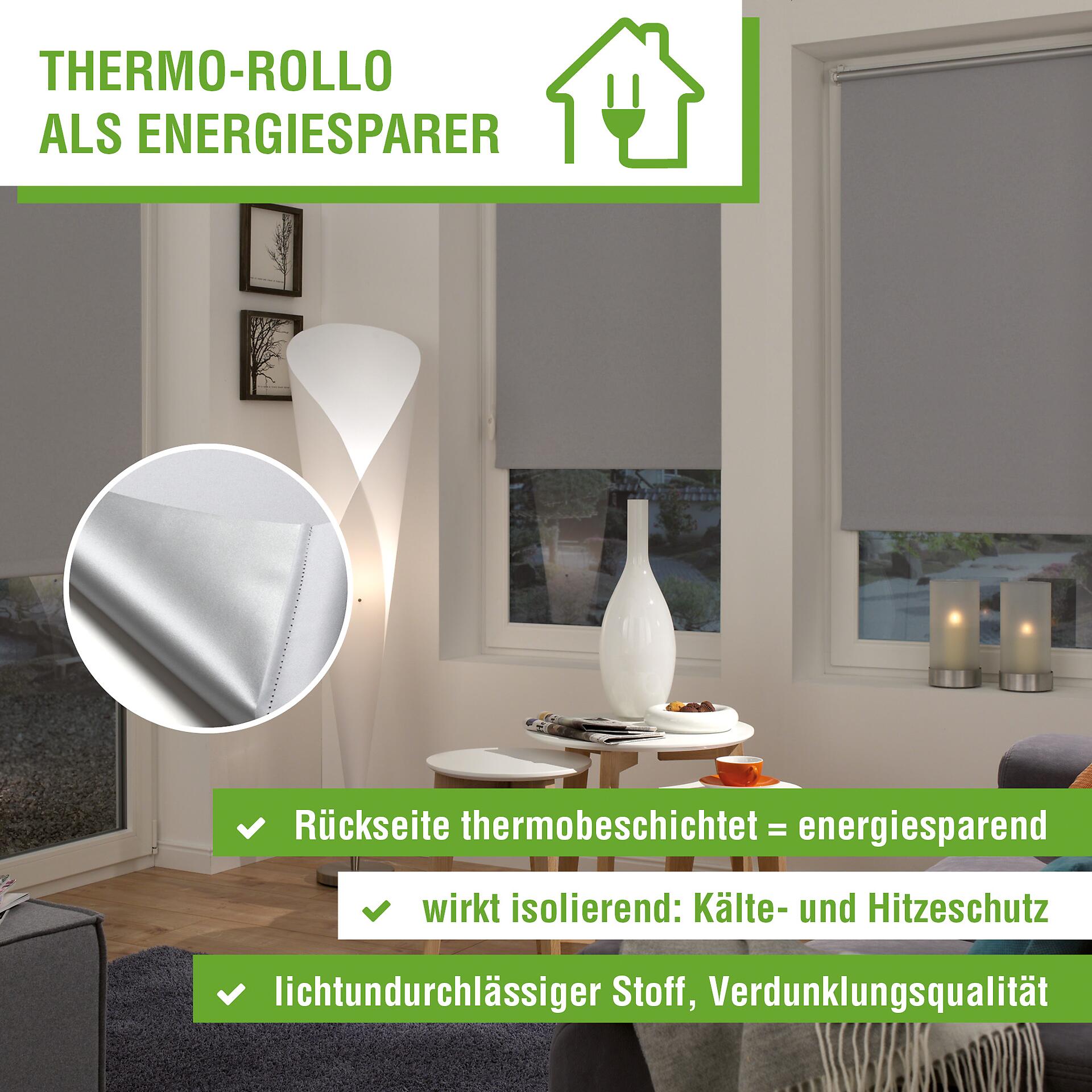 Boviva Thermo Klebe-/Klemmrollo Verdunklungsqualität grau B/L: ca. 90x210 cm