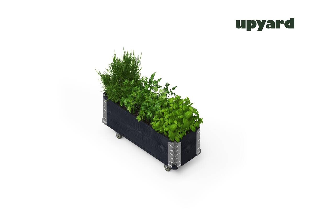 UPYARD Kräuterkasten INDUSTRIAL schwarz Holz B/L: ca. 30x80 cm