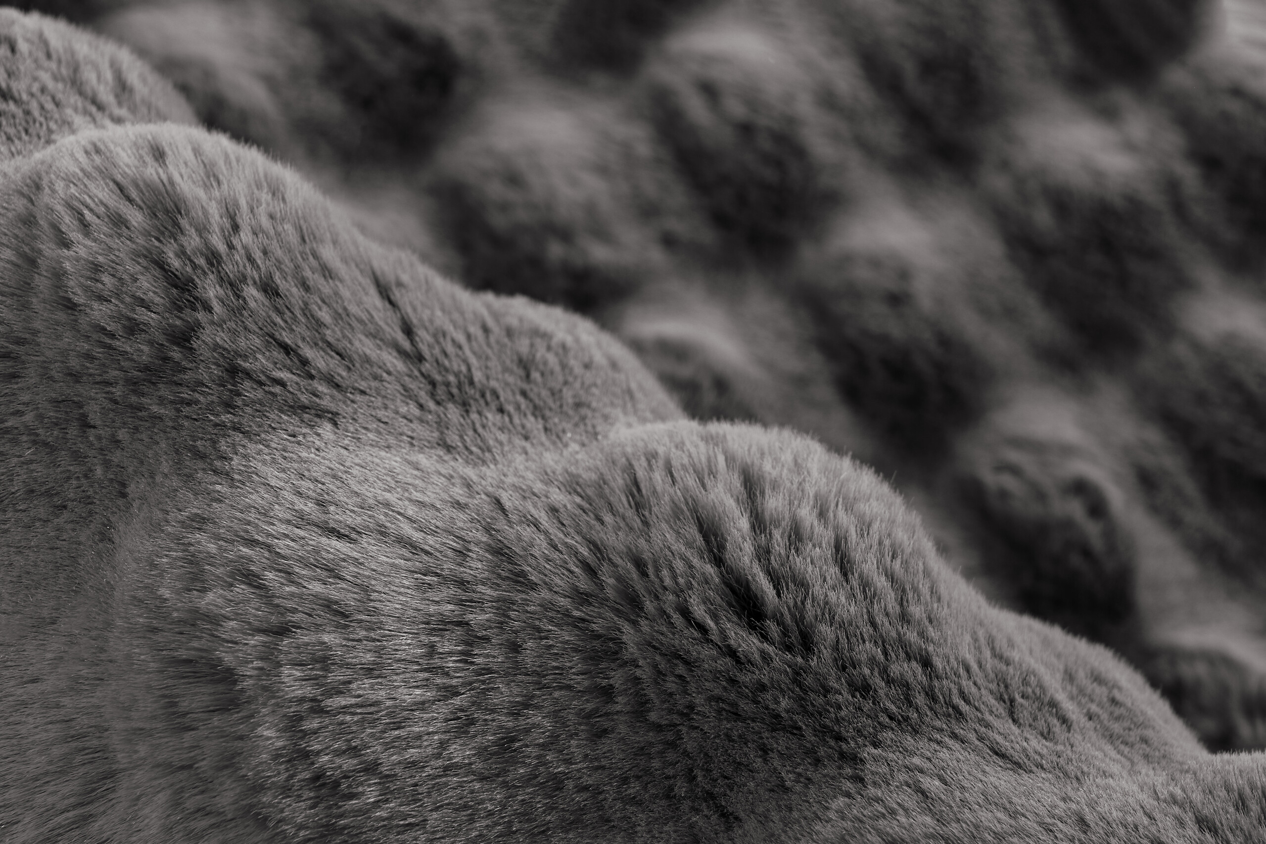 Kayoom Hochflorteppich Harmony 825 Graphit B/H/L: ca. 80x4x150 cm