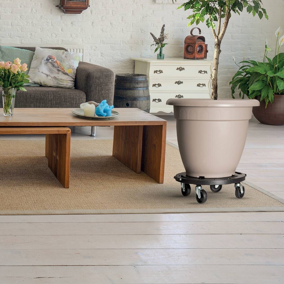 Dolly Transportroller schwarz B/H/L: ca. 40x12,5x40 cm Dolly Transportroller schwarz B/H/L: ca. 40x12,5x40 cm