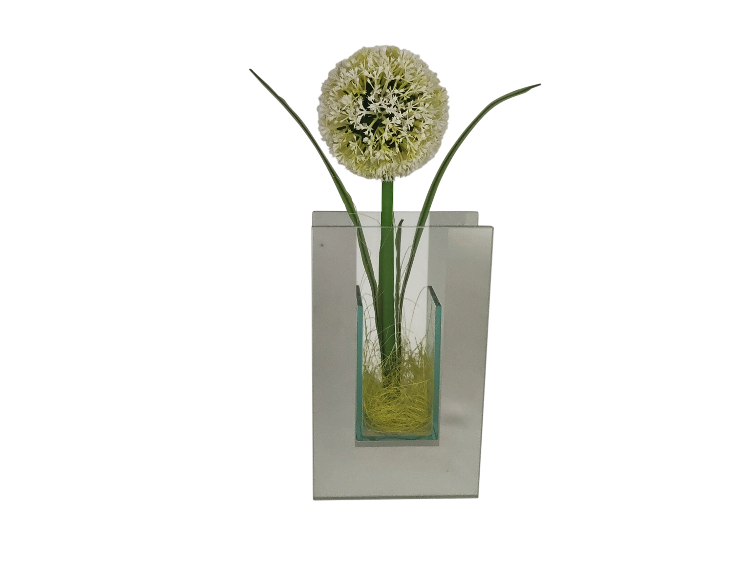 POCOline Vase klar Glas B/H/L: ca. 5,5x20x12 cm