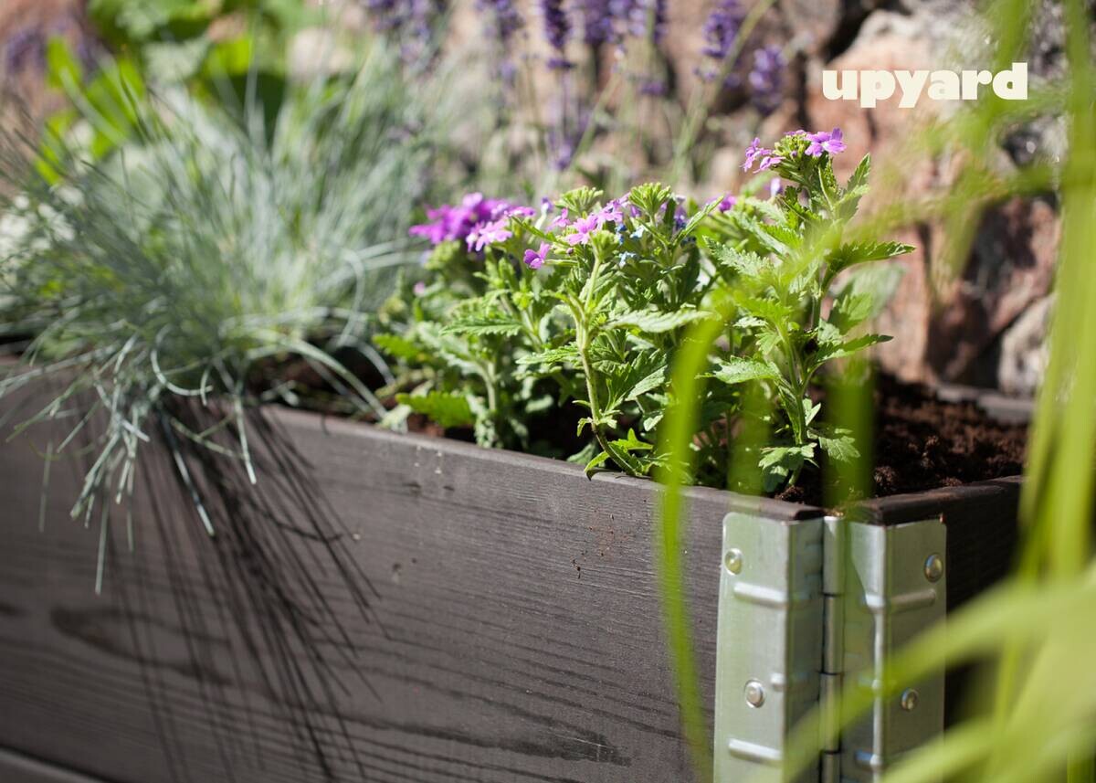 UPYARD Kräuterkasten INDUSTRIAL schwarz Holz B/H/T: ca. 120x20x40 cm