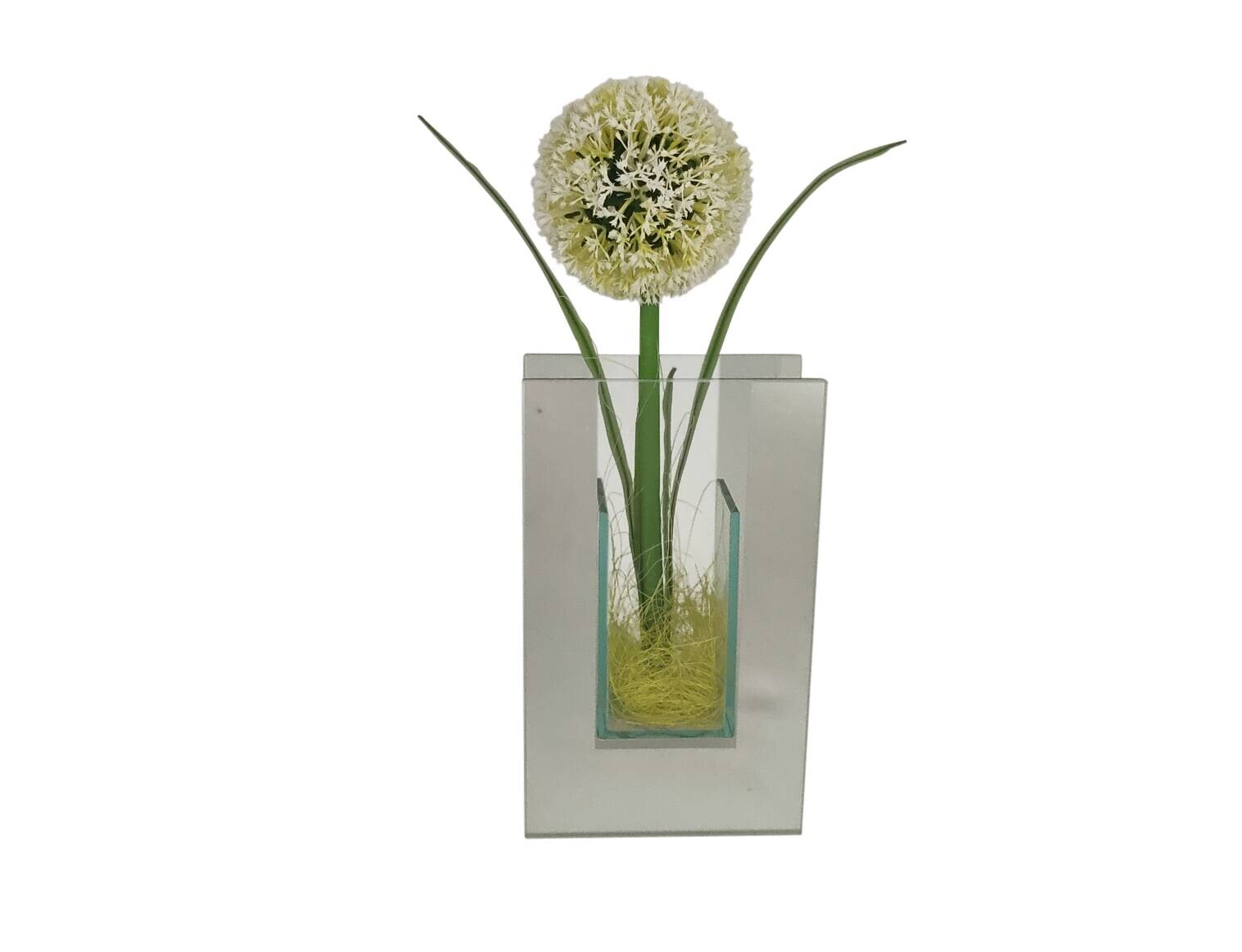 POCOline Vase klar Glas B/H/L: ca. 5,5x20x12 cm