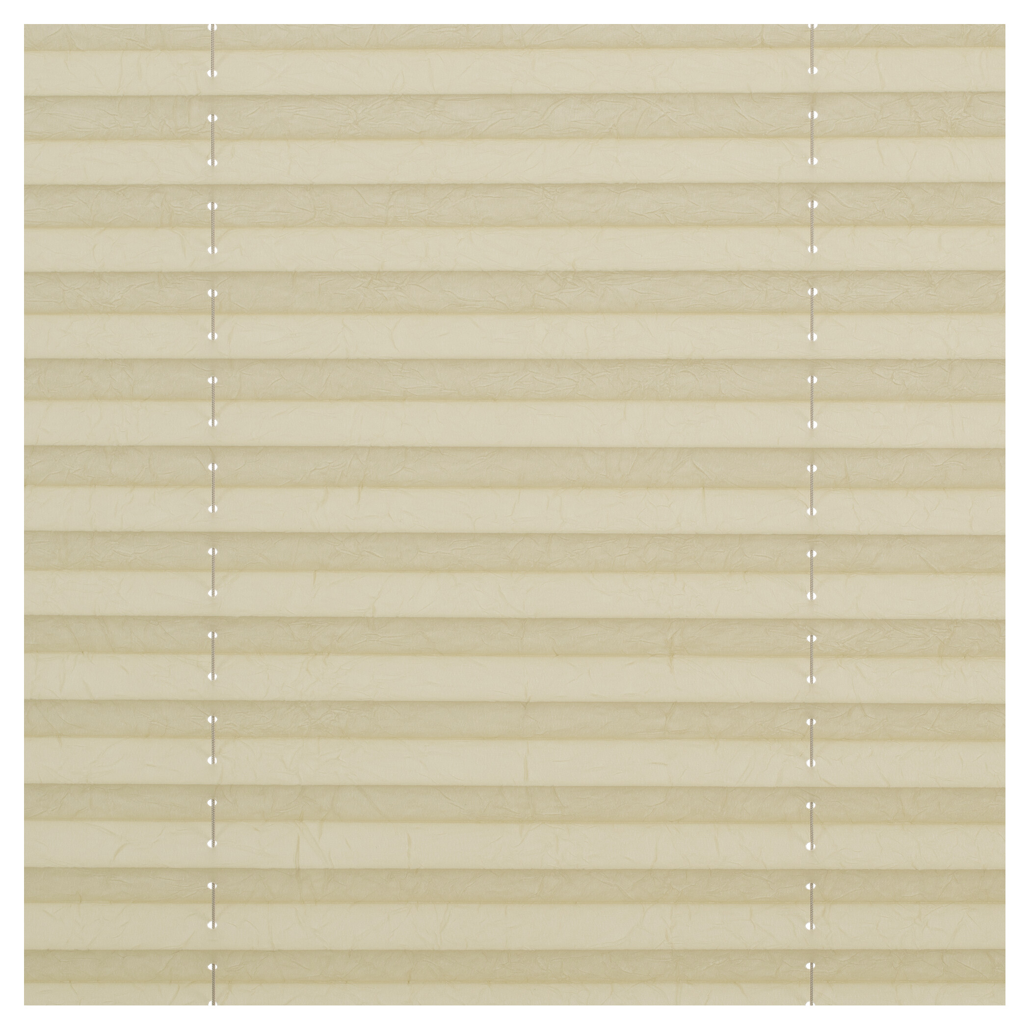 LICHTBLICK Spannplissee creme B/L: ca. 50x130 cm