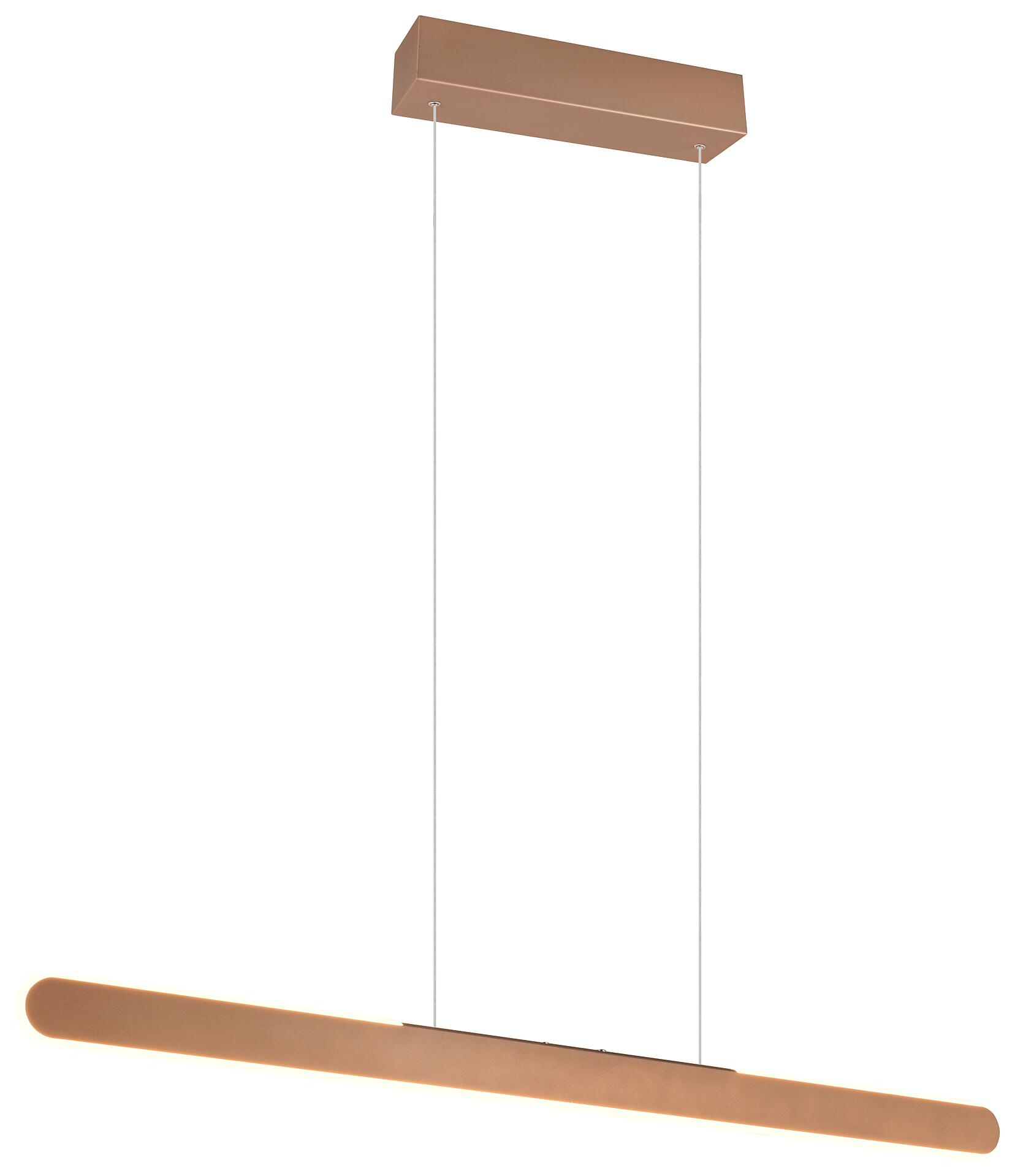 Reality Pendelleuchte Metall