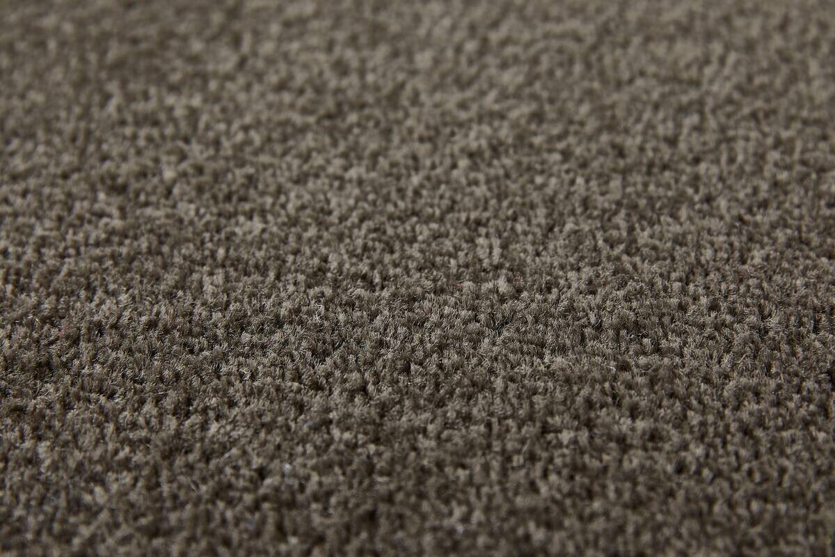 Teppichboden Sara braungrau B/L: ca. 200x400 cm pro Stück