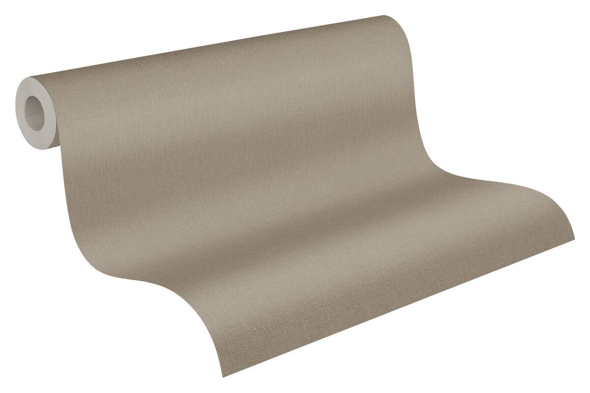 A.S.Creation Vliestapete Terra Uni braun B/L: ca. 53x1005 cm