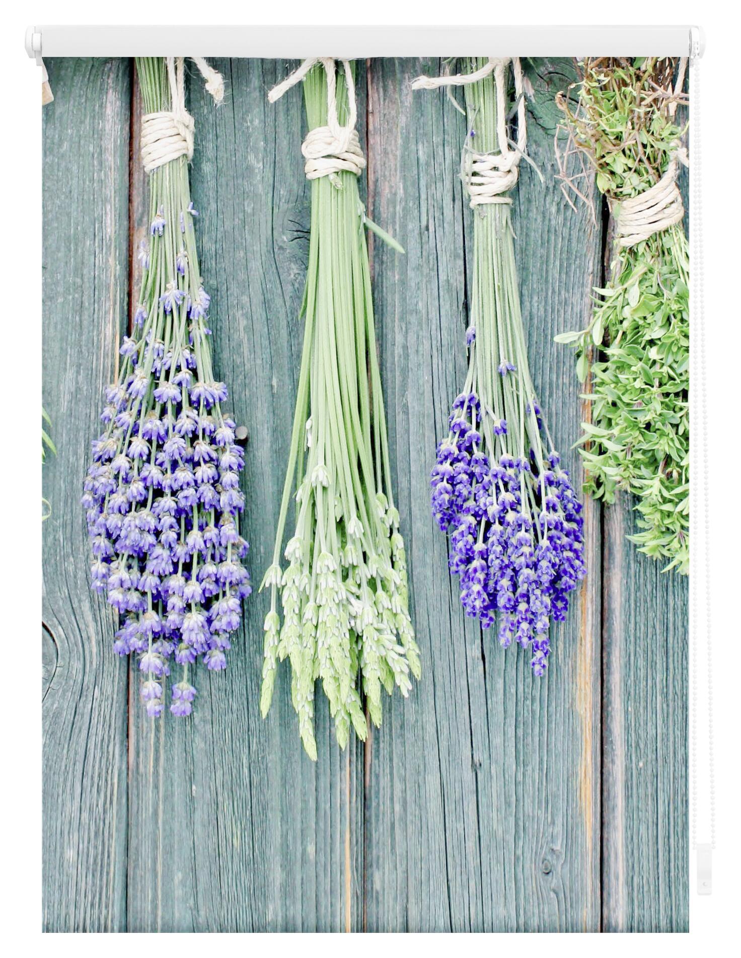 LICHTBLICK Rollo Kräuter petrol B/L: ca. 120x100 cm