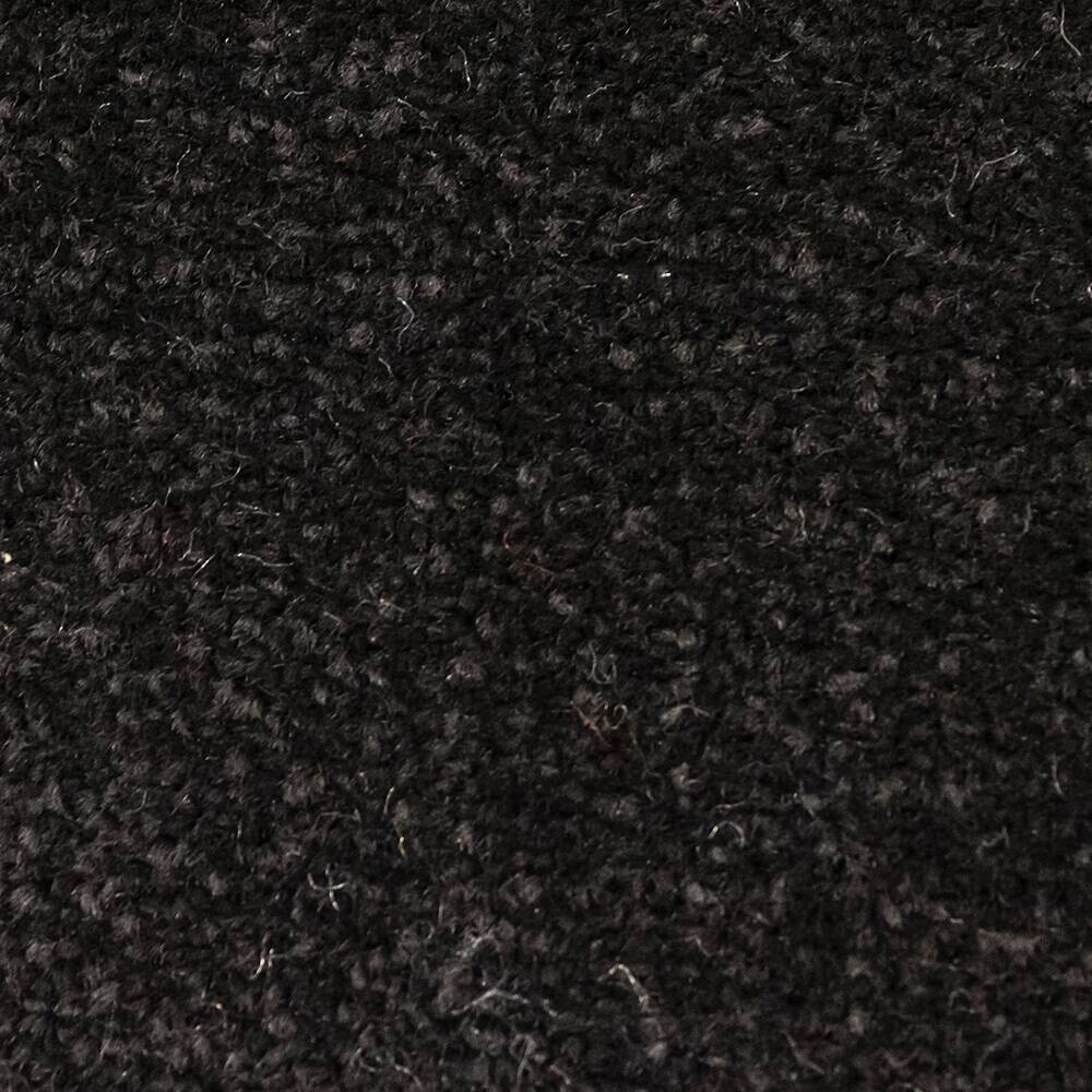 Schmutzfangmatte Alpha schwarz B/L: ca. 80x120 cm