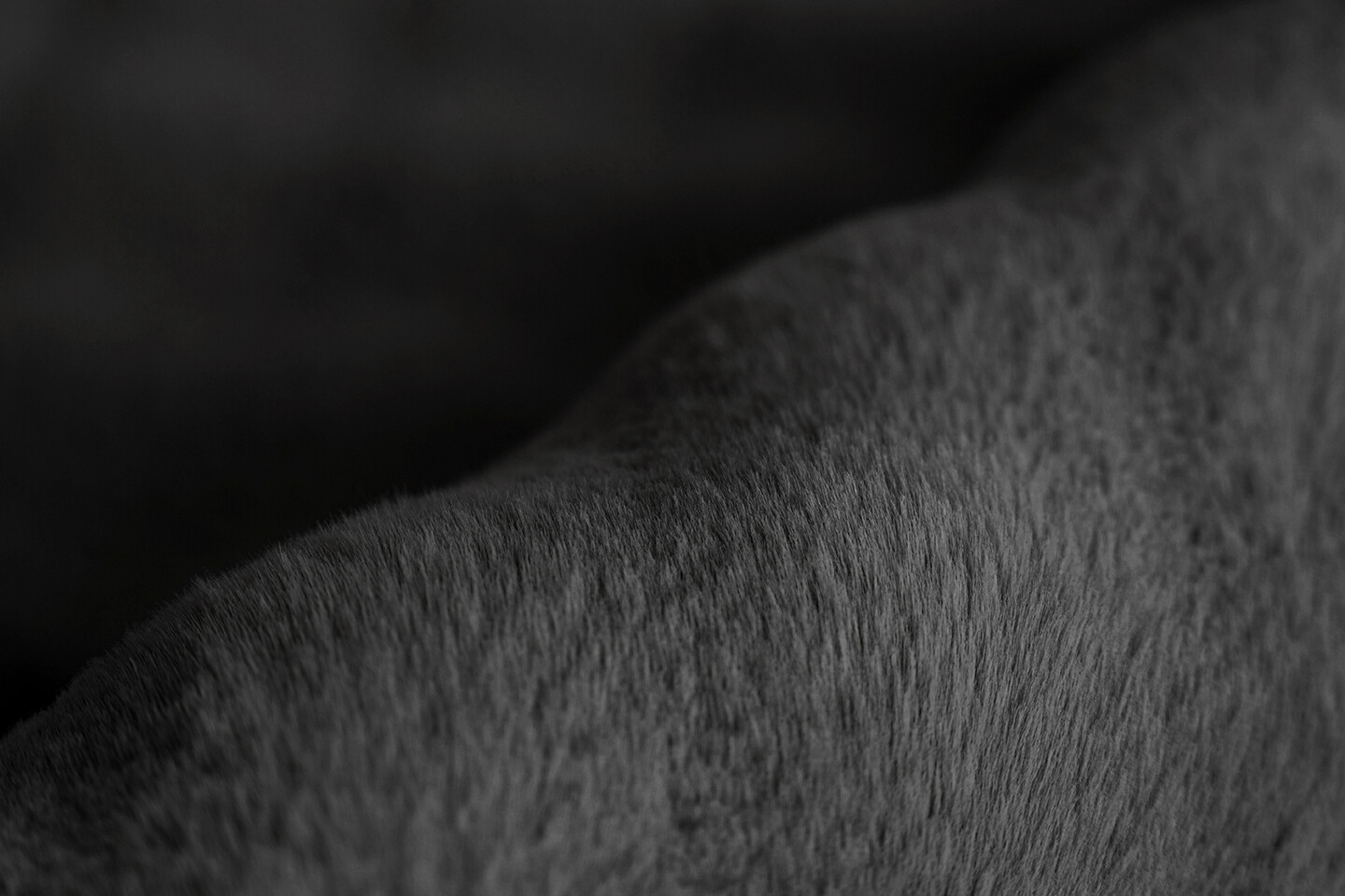 Padiro Hochflorteppich Hailey 125 schwarz B/H/L: ca. 200x3x290 cm