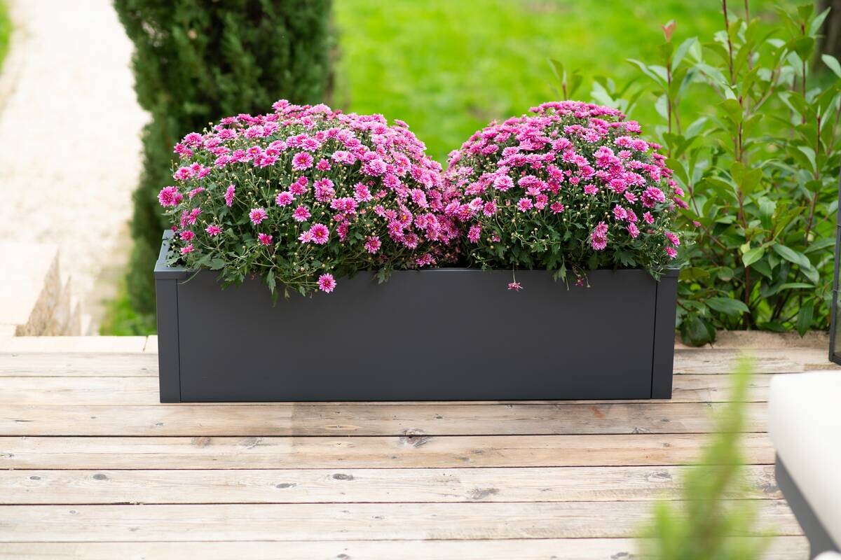 Westmann Pflanzkasten Talus anthrazit Metall B/H/L: ca. 100x27x25 cm