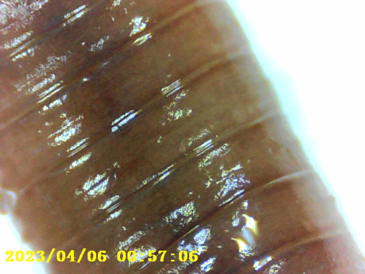 Denver Digitales Mikroskop schwarz