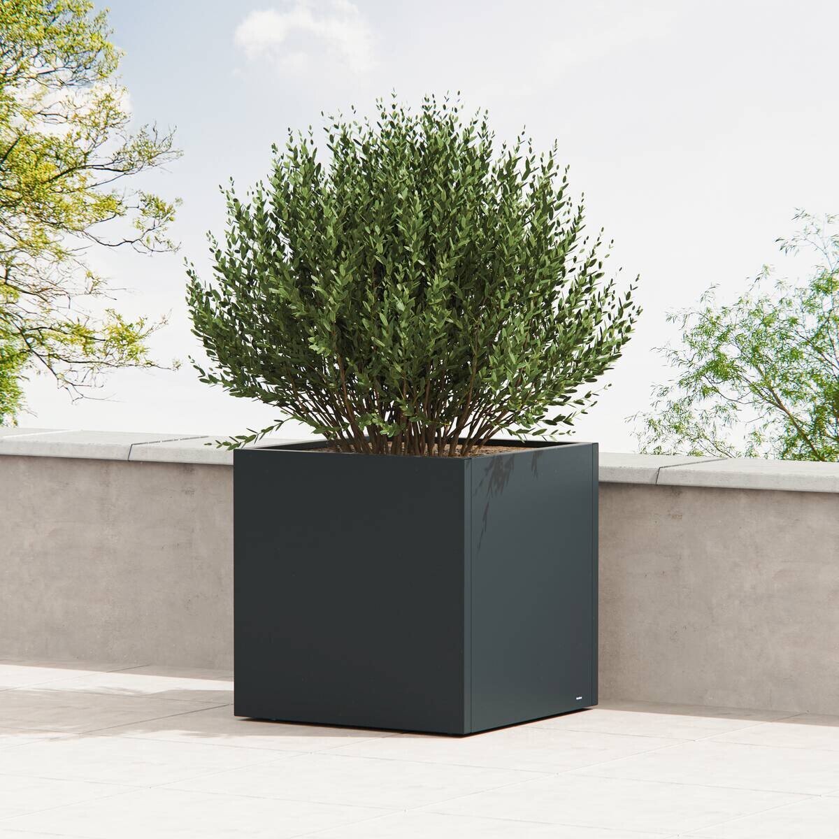 Herstera Garden Pflanzkübel Cube anthrazit Metall B/H/L: ca. 80x80x80 cm