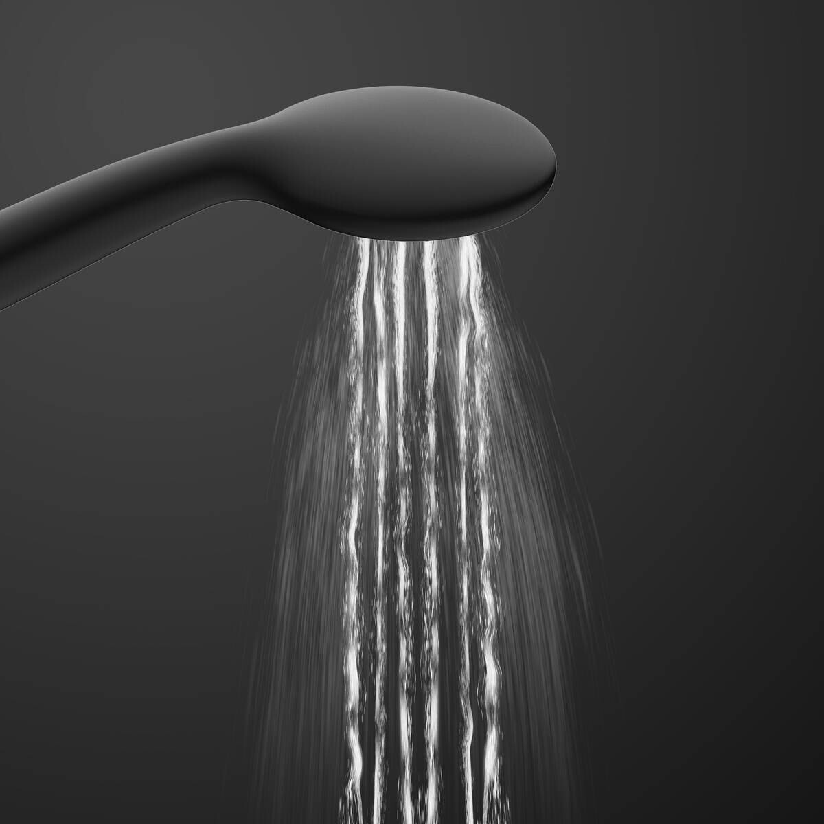 Eisl Handbrause Leon schwarz