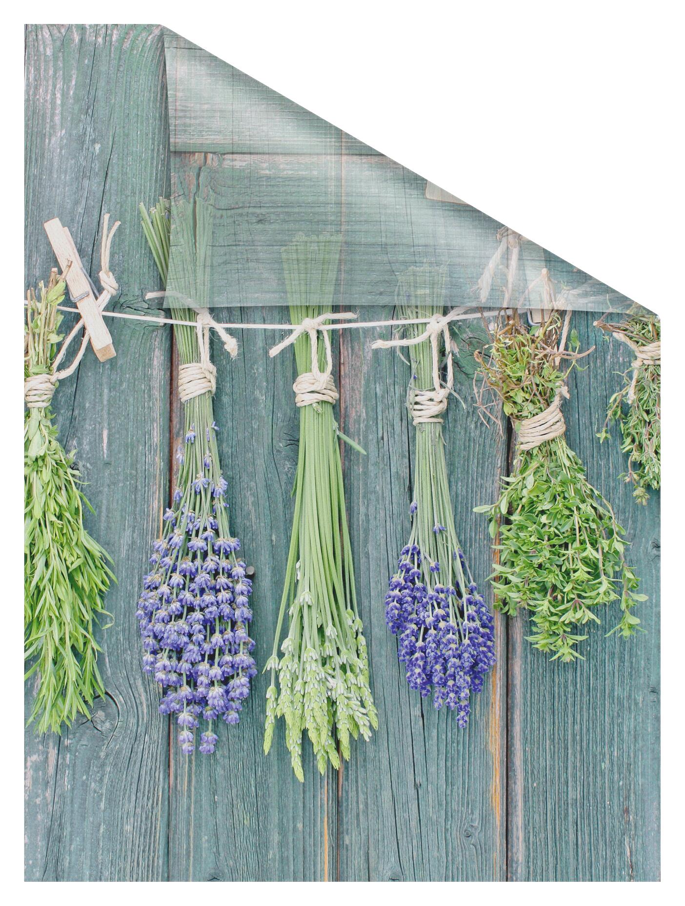 LICHTBLICK Fensterfolie Kräuter  Kräuter grün B/L: ca. 100x180 cm