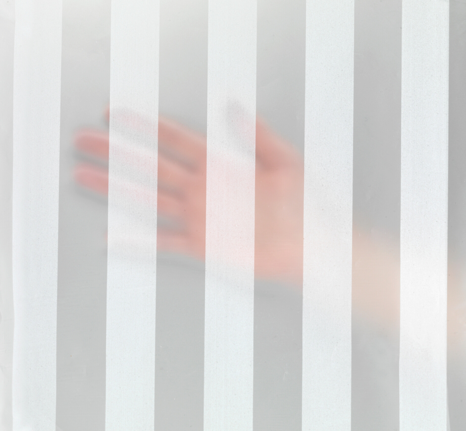 WENKO Duschvorhang Frozen Kunststoff B/H: ca. 180x200 cm