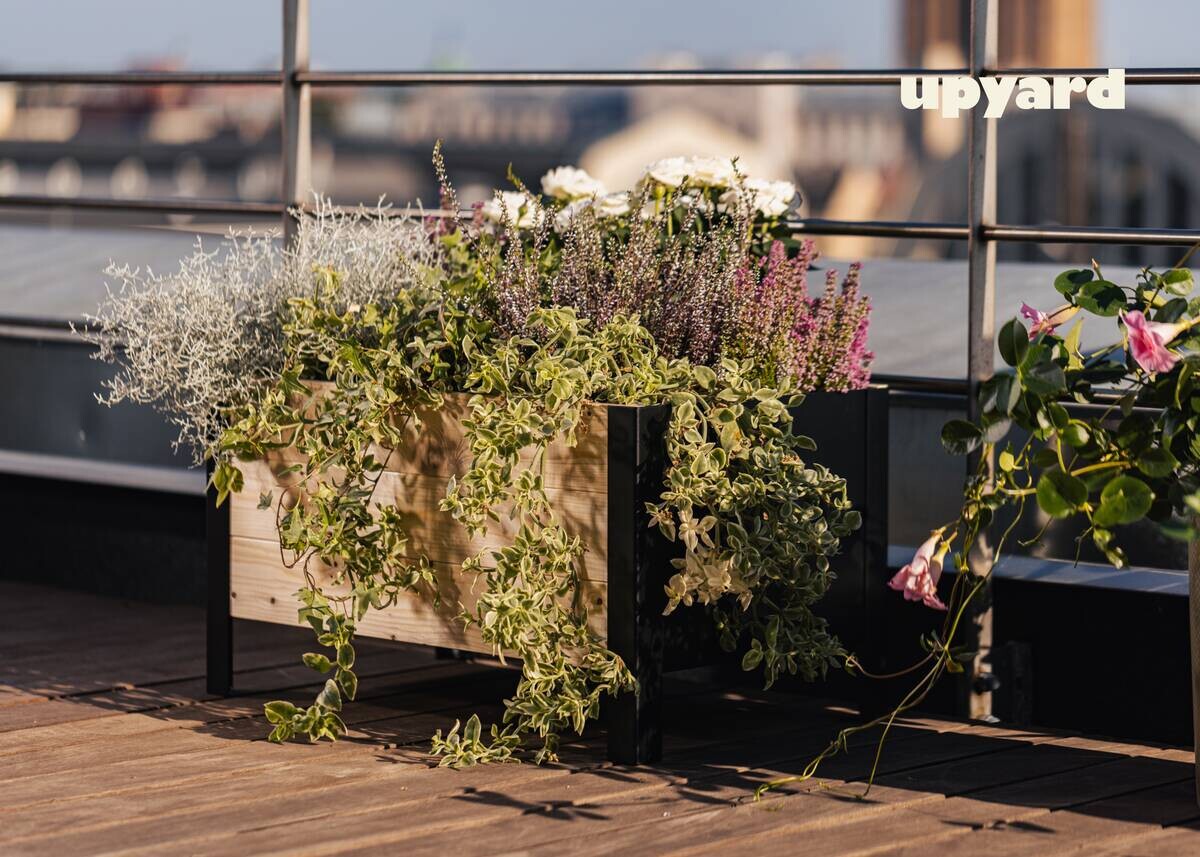 UPYARD Hochbeet MODERN natur Holz B/H/L: ca. 36x32x58 cm