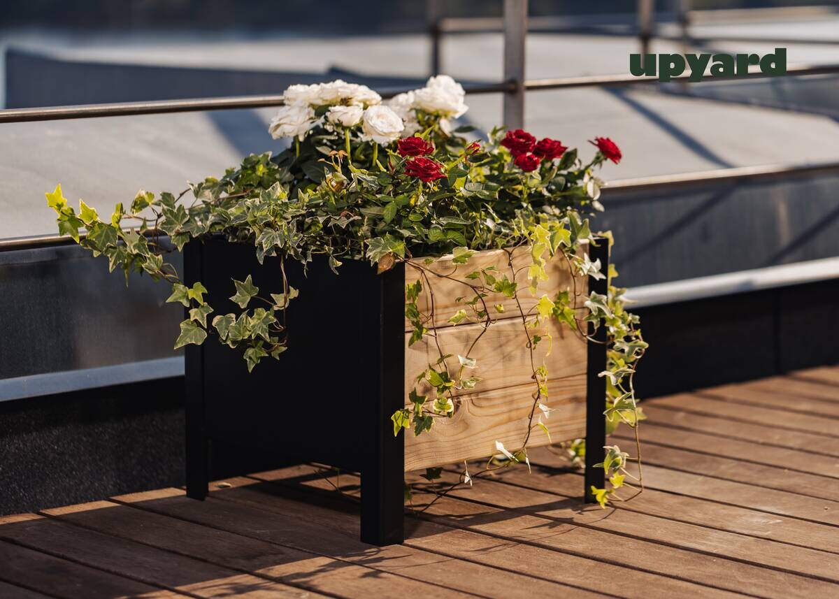 UPYARD Hochbeet MODERN natur Holz B/H/L: ca. 36x32x36 cm