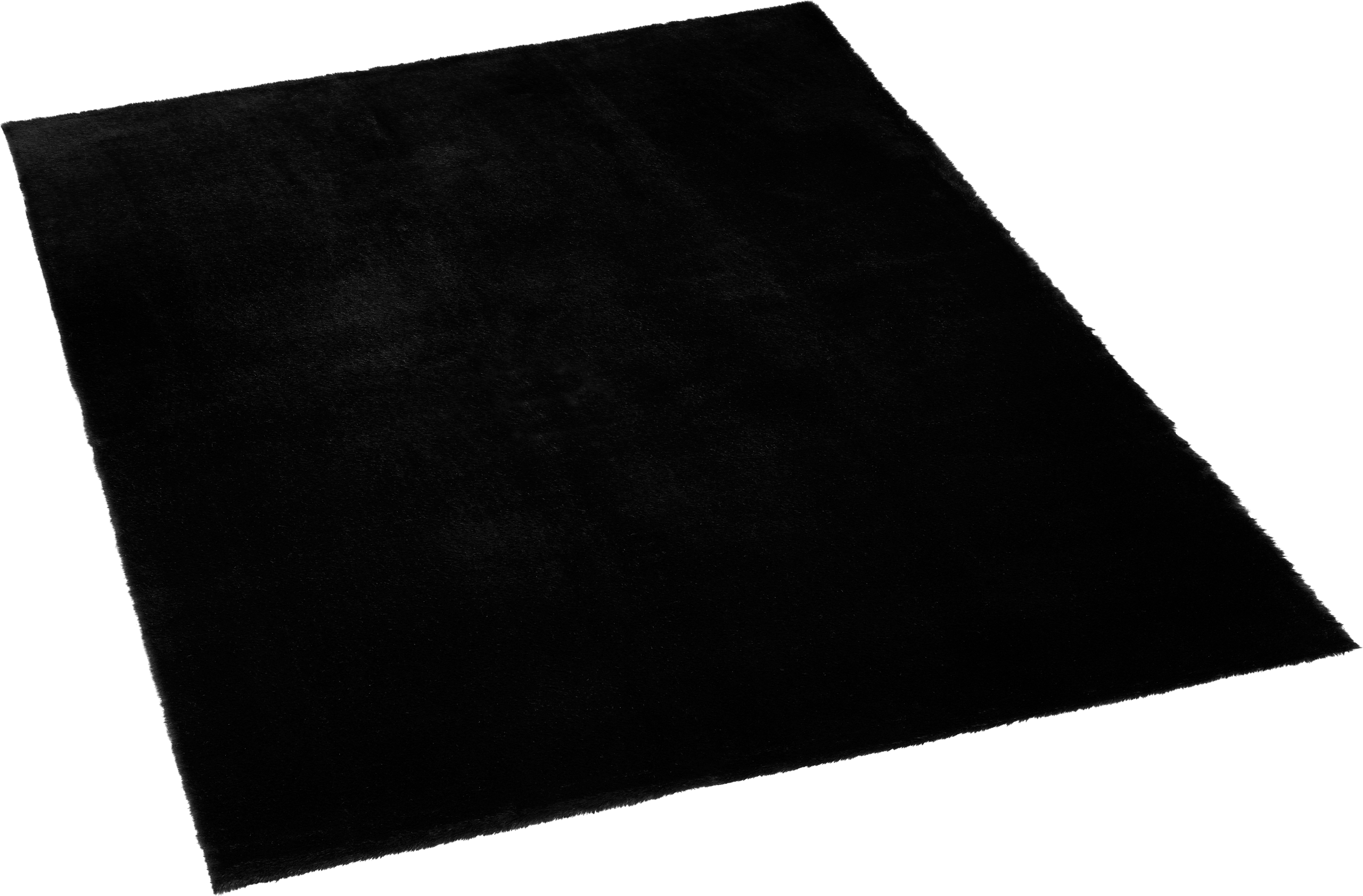 Teppich Buggy schwarz B/L: ca. 200x280 cm