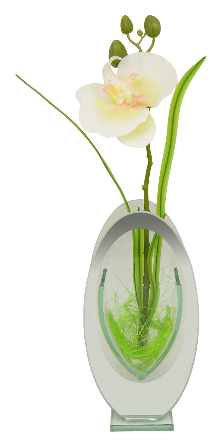 POCOline Vase klar Glas B/H/L: ca. 6x28,5x14 cm