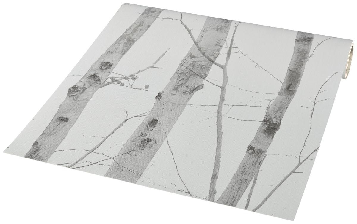 Vliestapete Birkenwald grau creme B/L: ca. 53x1005 cm