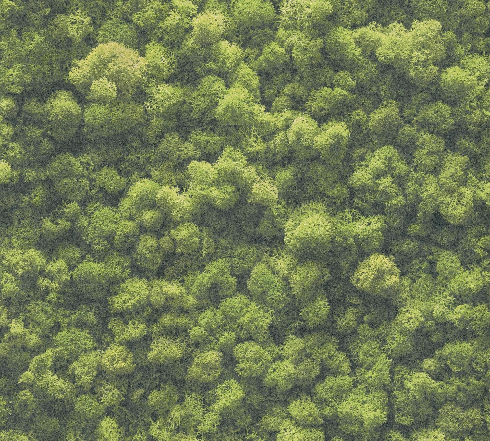 A.S.Creation Vliestapete grün B/H/D: ca. 53x1005x8 cm