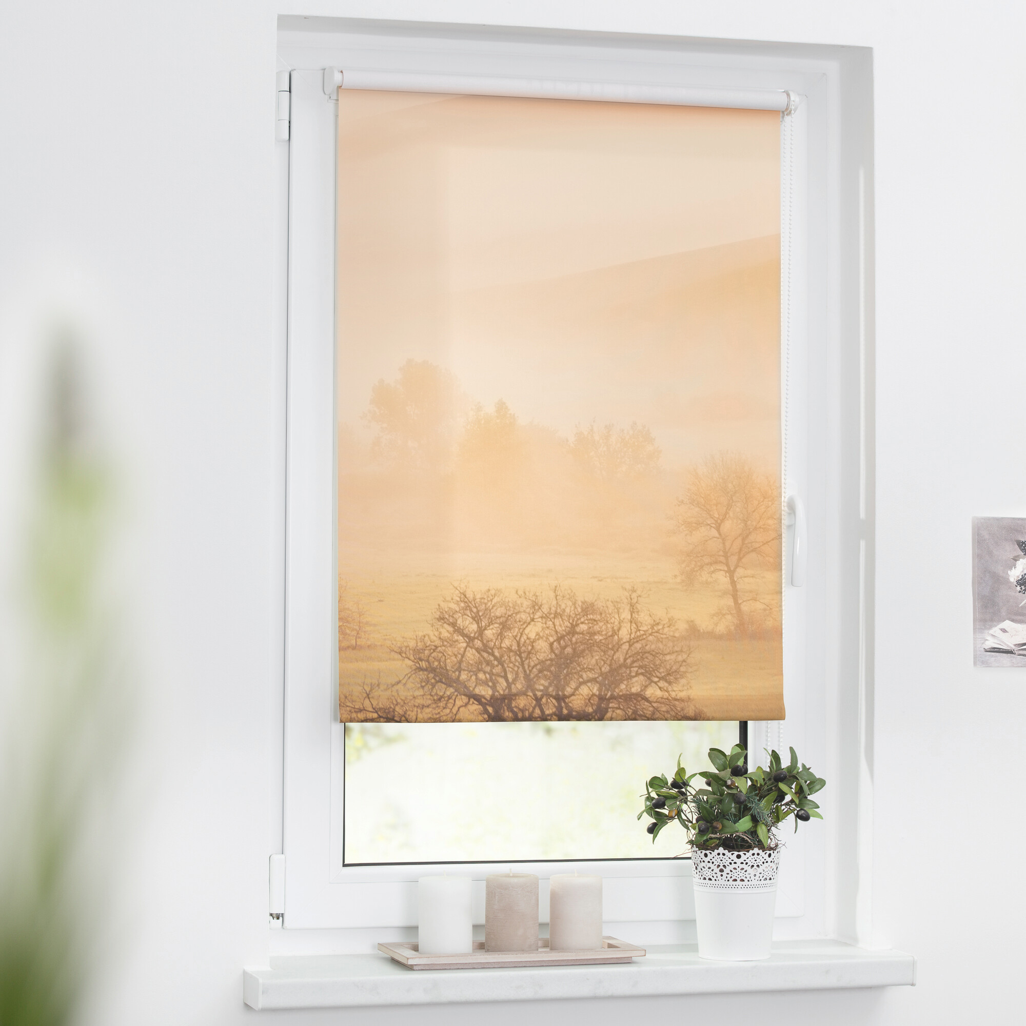 LICHTBLICK Verdunkelungsrollo Toskana