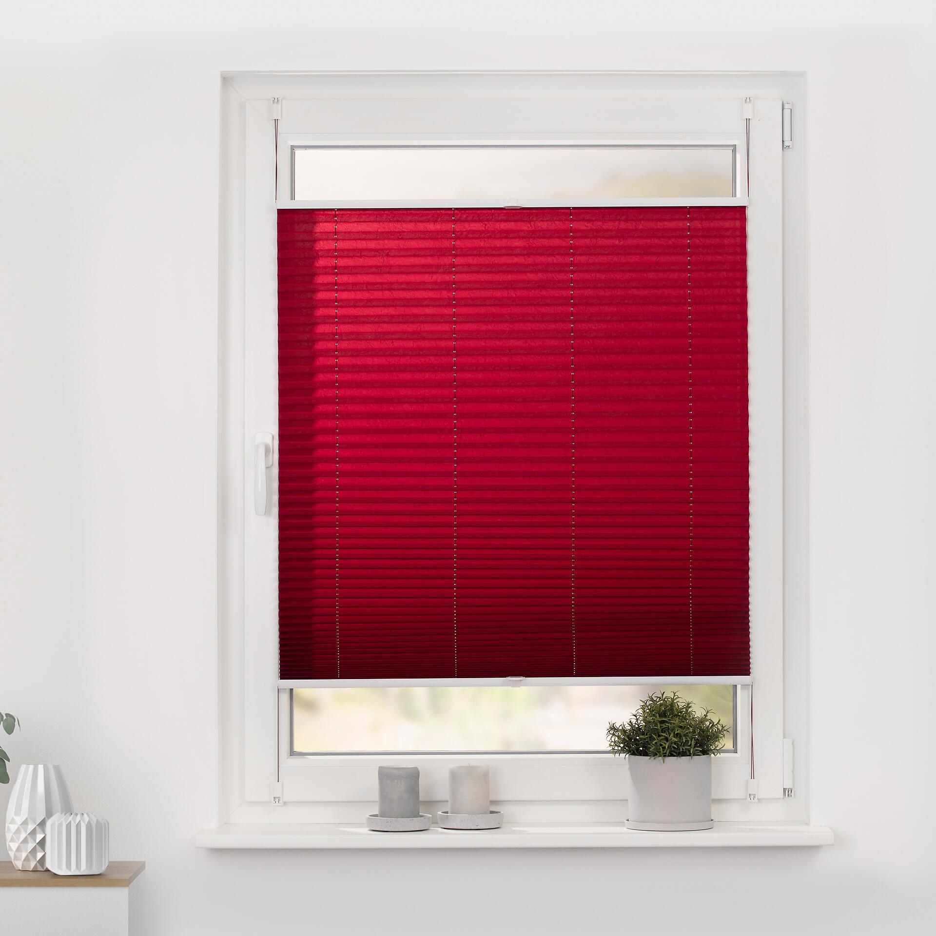 LICHTBLICK Spannplissee brombeer B/L: ca. 60x210 cm