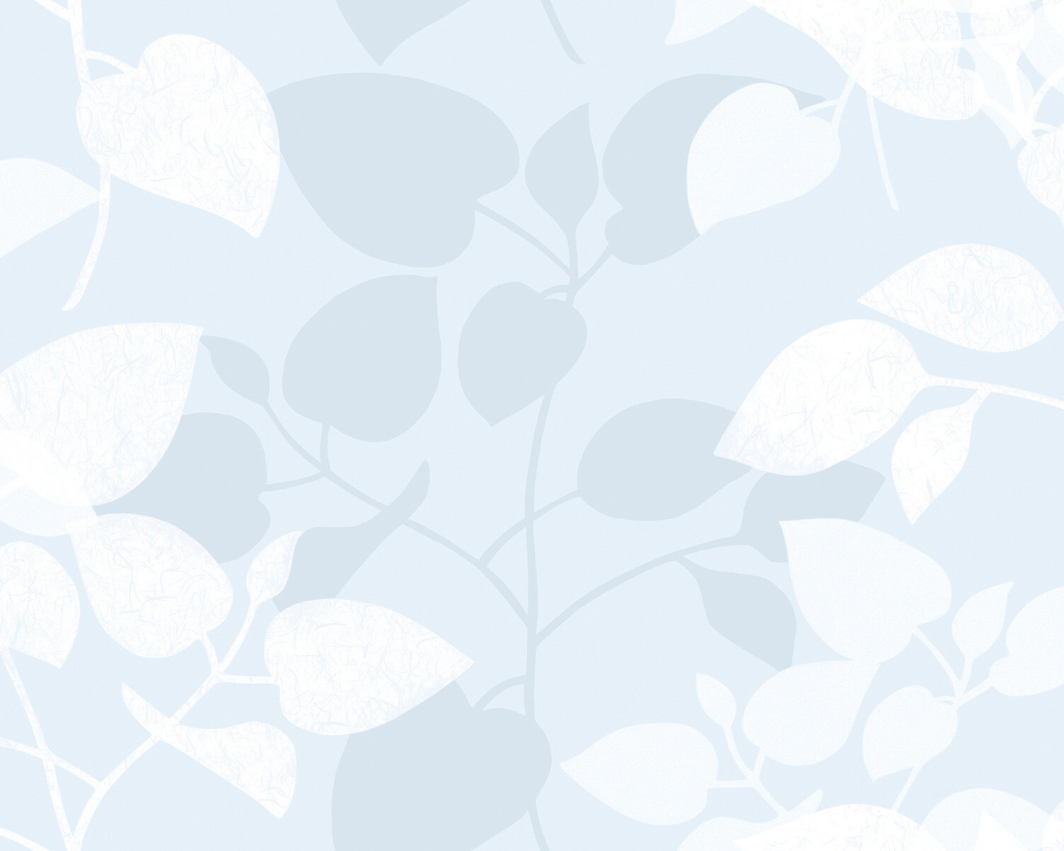 d-c-fix Fensterfolie Blätter transparent B/L: ca. 67,5x150 cm