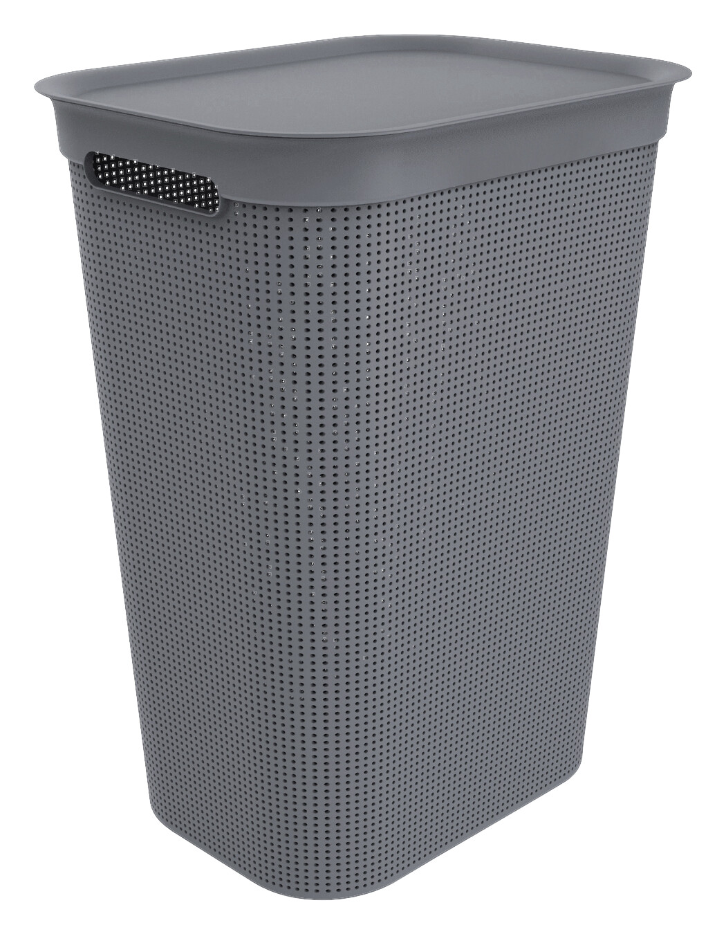 Rotho Wäschebox schwarz B/H/L: ca. 34x52,9x43,1 cm