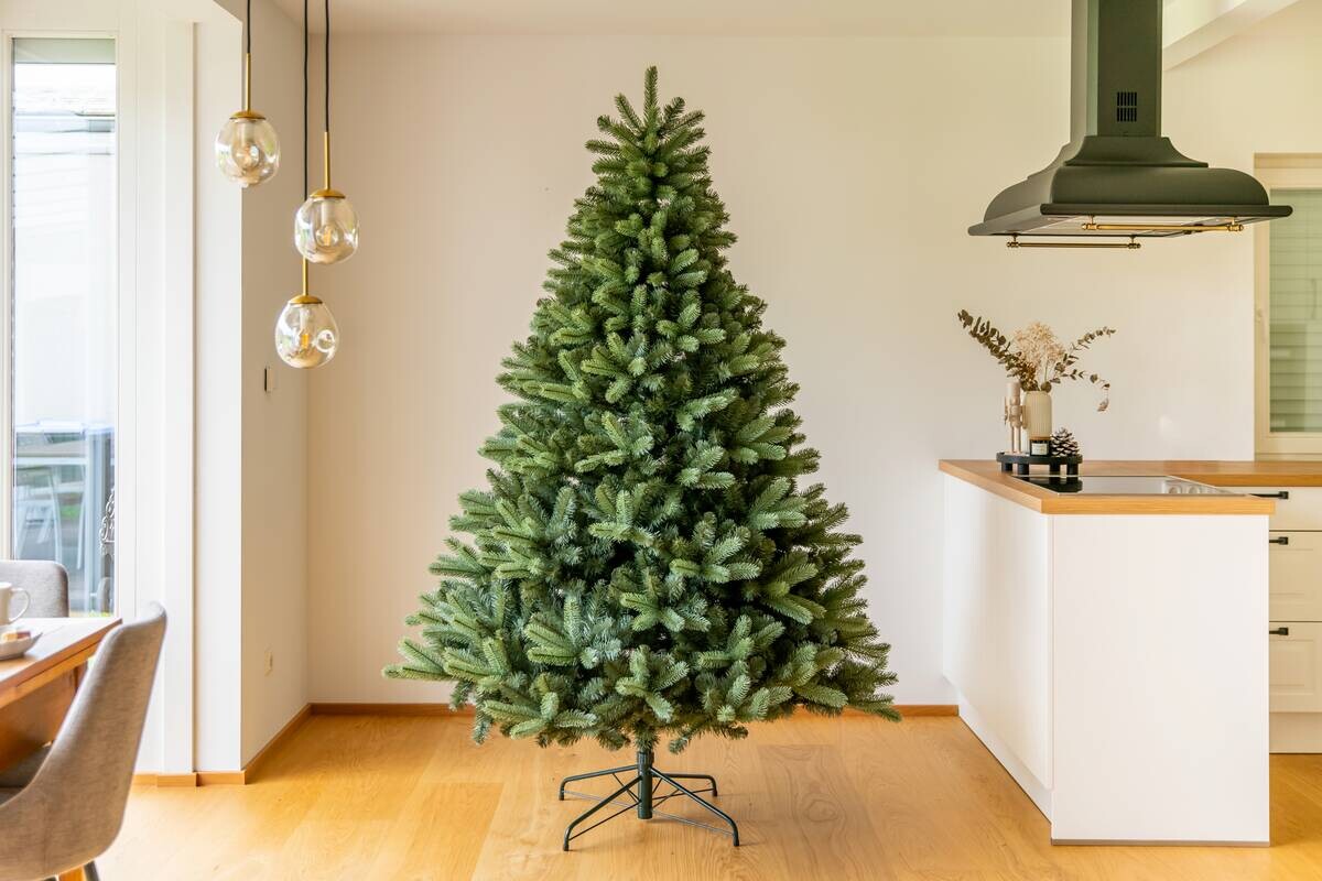 Evergreen Weihnachtsbaum Vermont Fichte