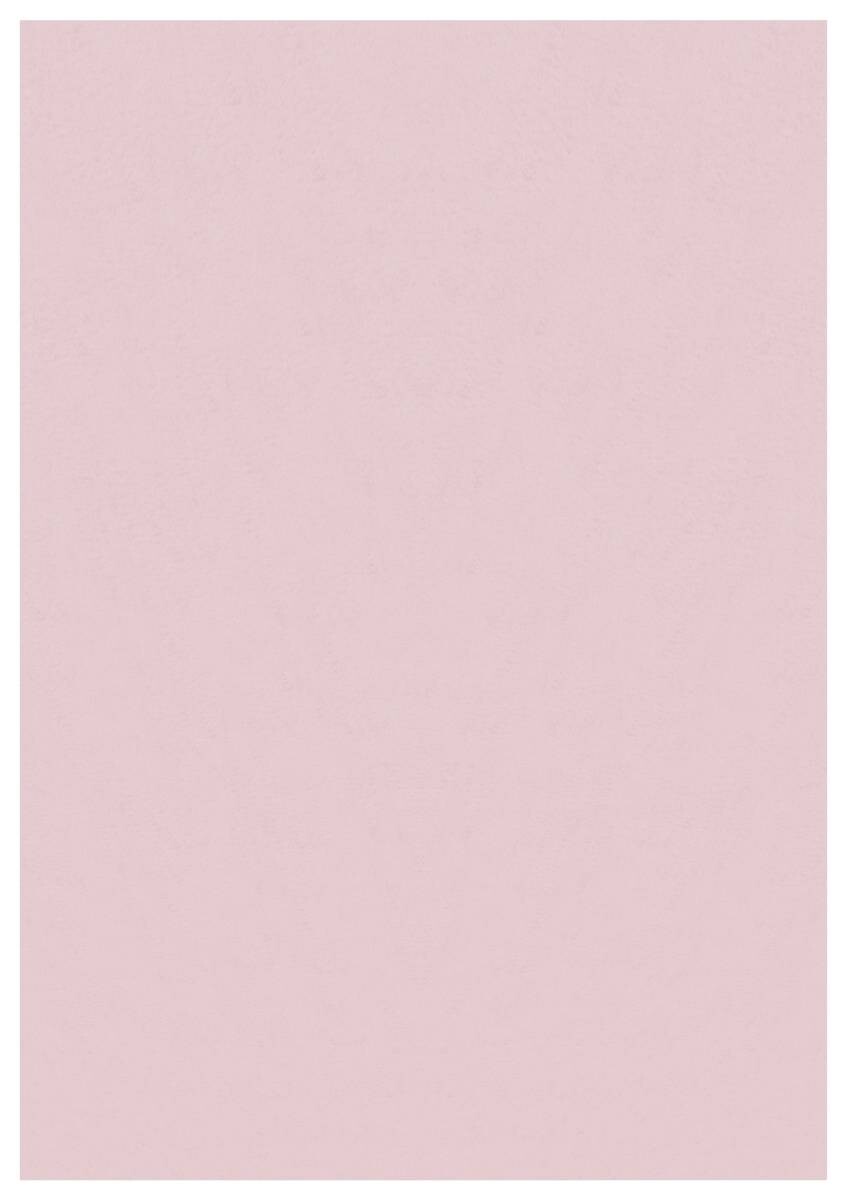 Ayyildiz Teppich SKY rosa B/L: ca. 120x170 cm