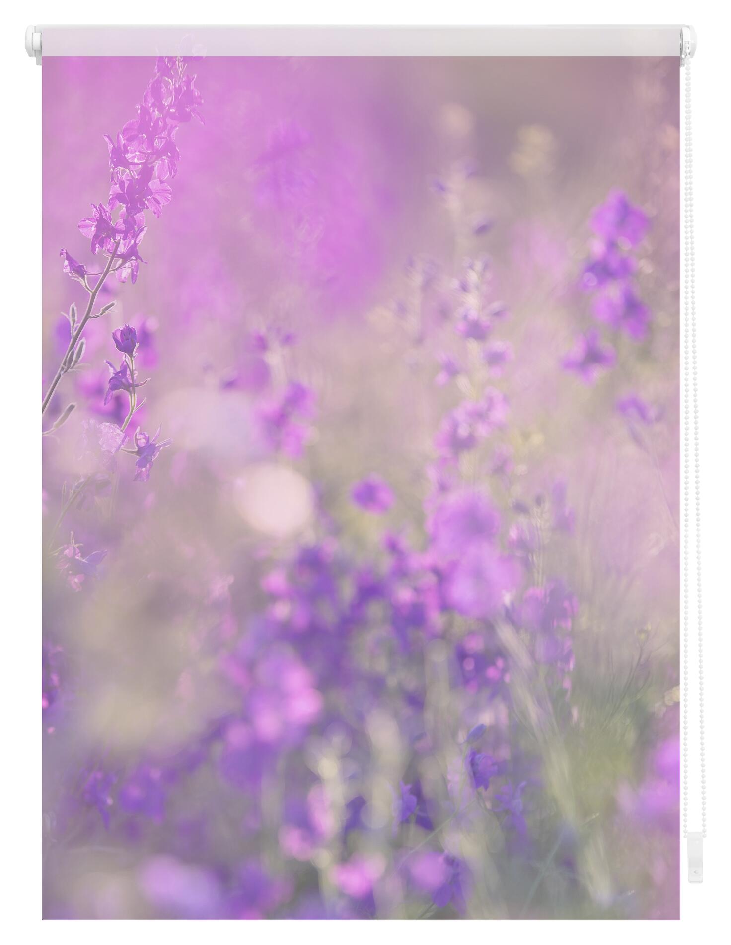 LICHTBLICK Verdunkelungsrollo Blumenwiese fuchsia B/L: ca. 60x150 cm