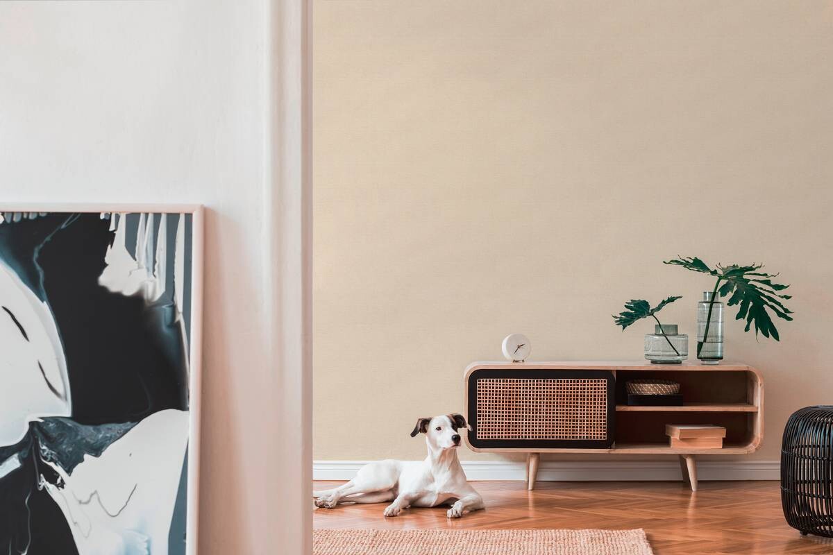 A.S.Creation Vliestapete Björn Uni creme B/L: ca. 53x1005 cm