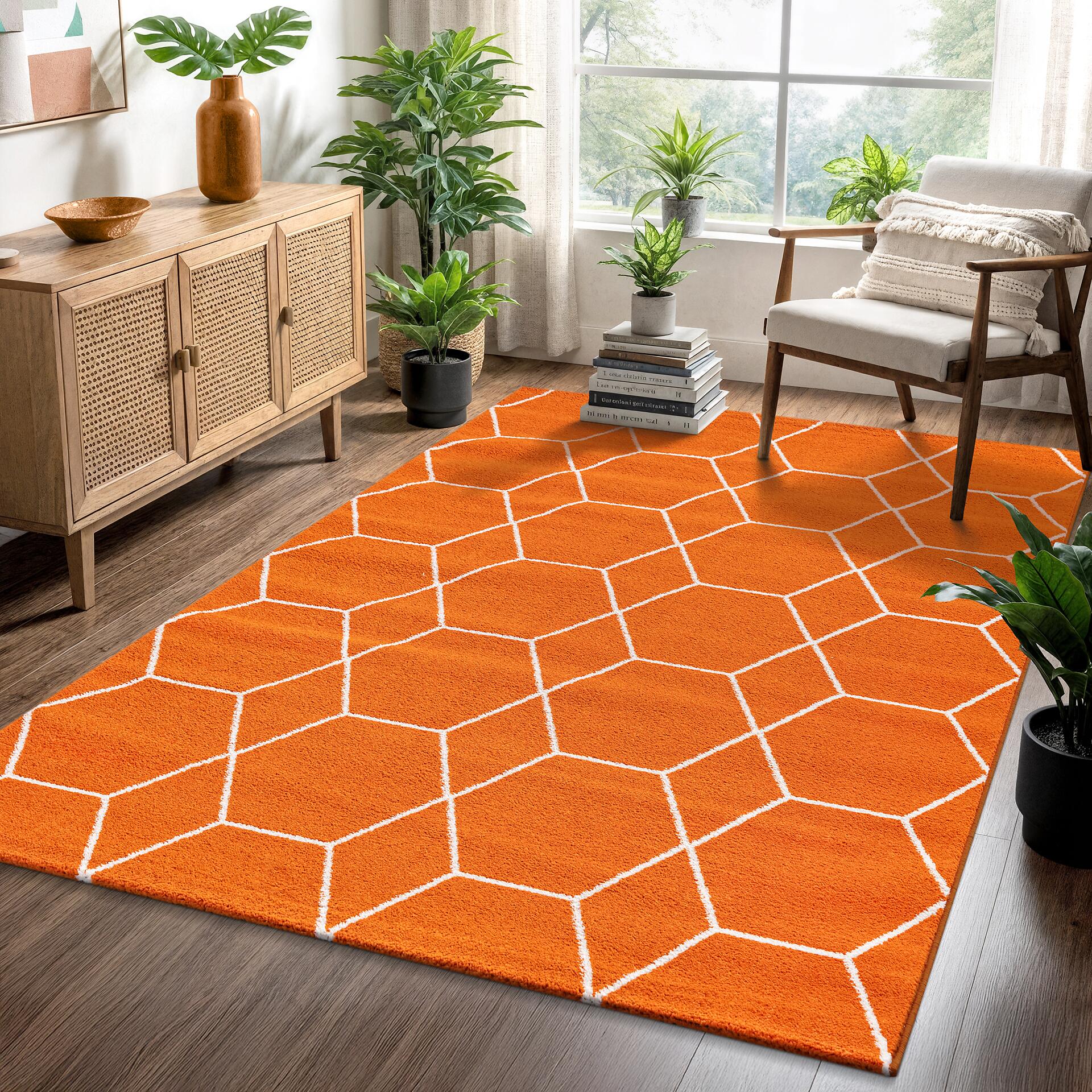 Sanat Teppich Trellis orange B/L: ca. 60x110 cm
