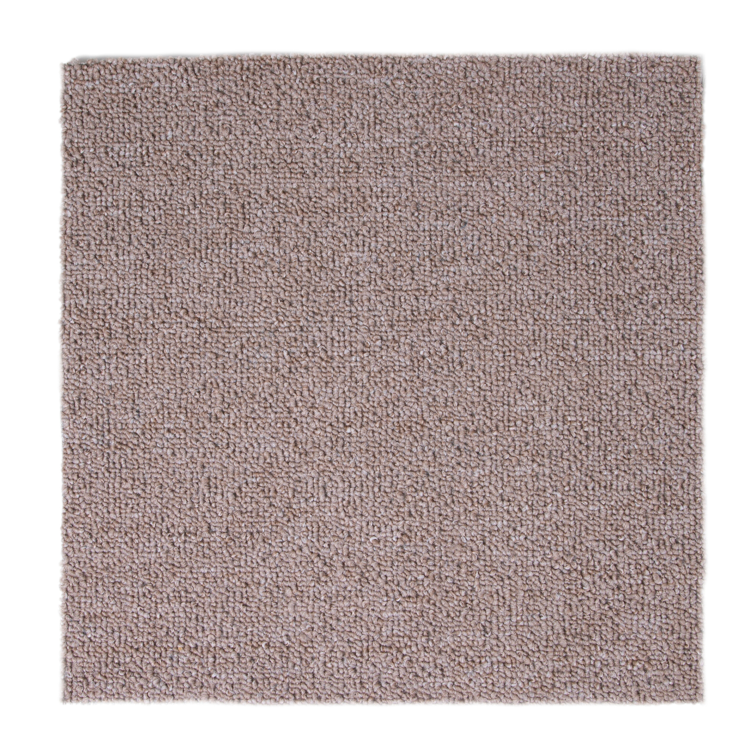 Teppichboden Mirabell beige B/L: ca. 200x500 cm pro Stück